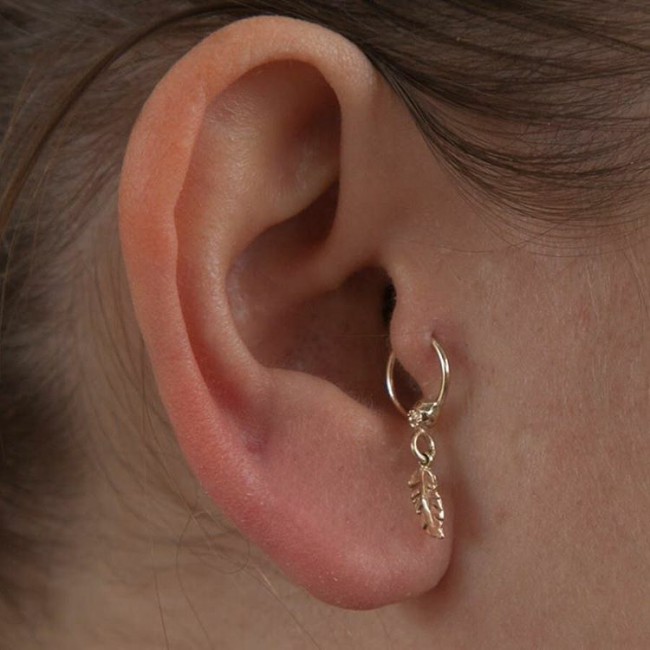Tragus Piercing [20+ Ideas] Pain Level, Healing, Cost, Experience