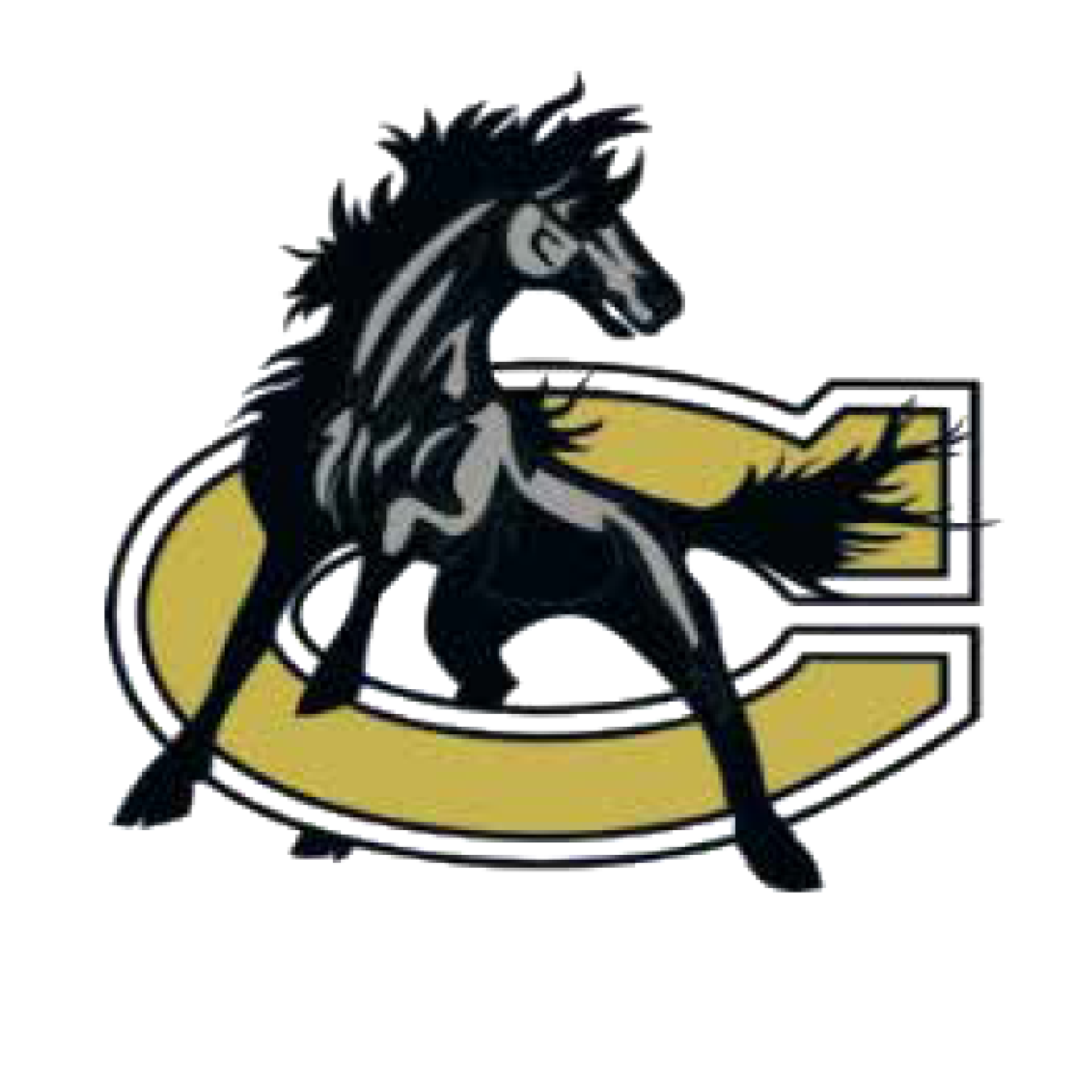 Clinton City Schools • Pierce Group Benefits