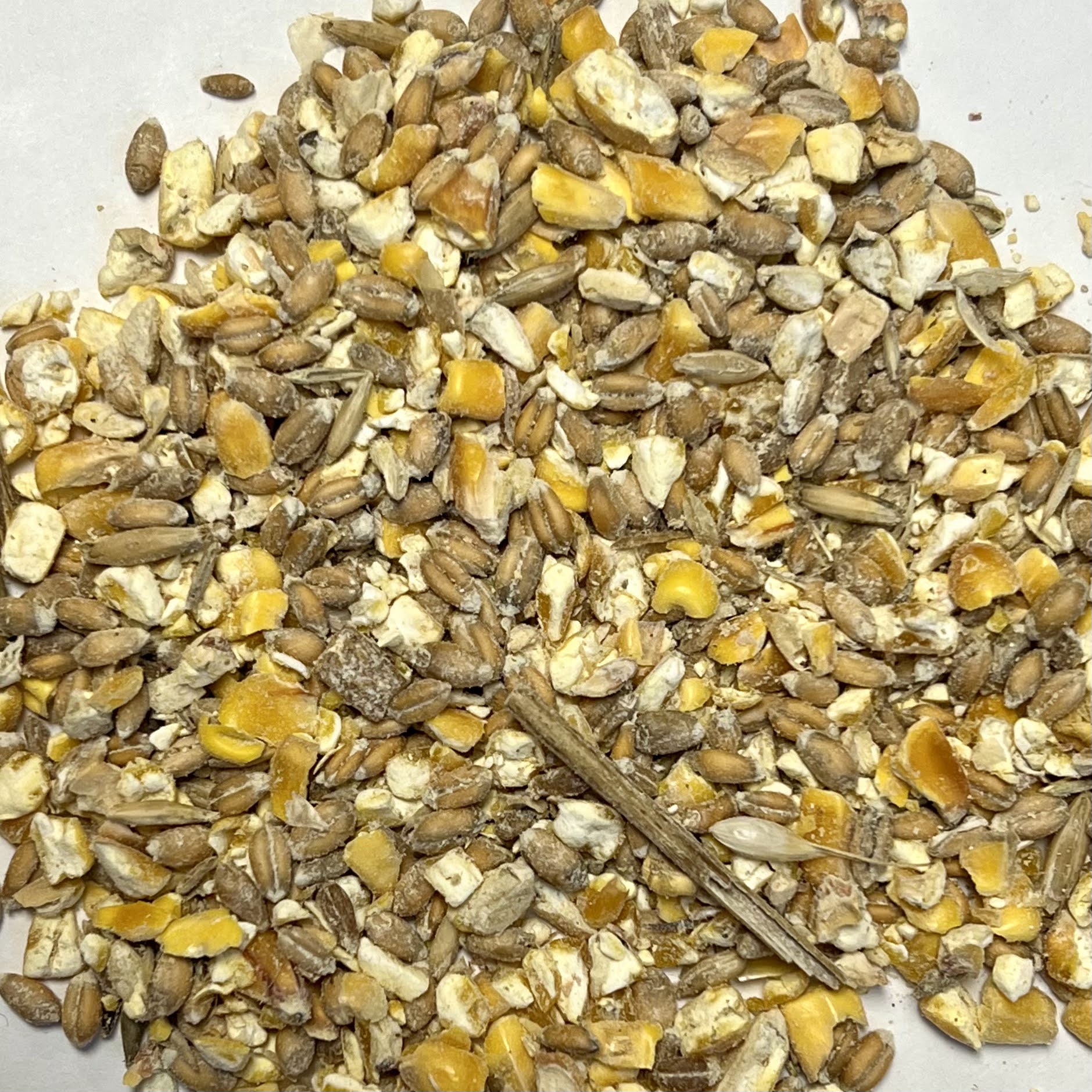 Scratch Grain Pierce Milling Inc.