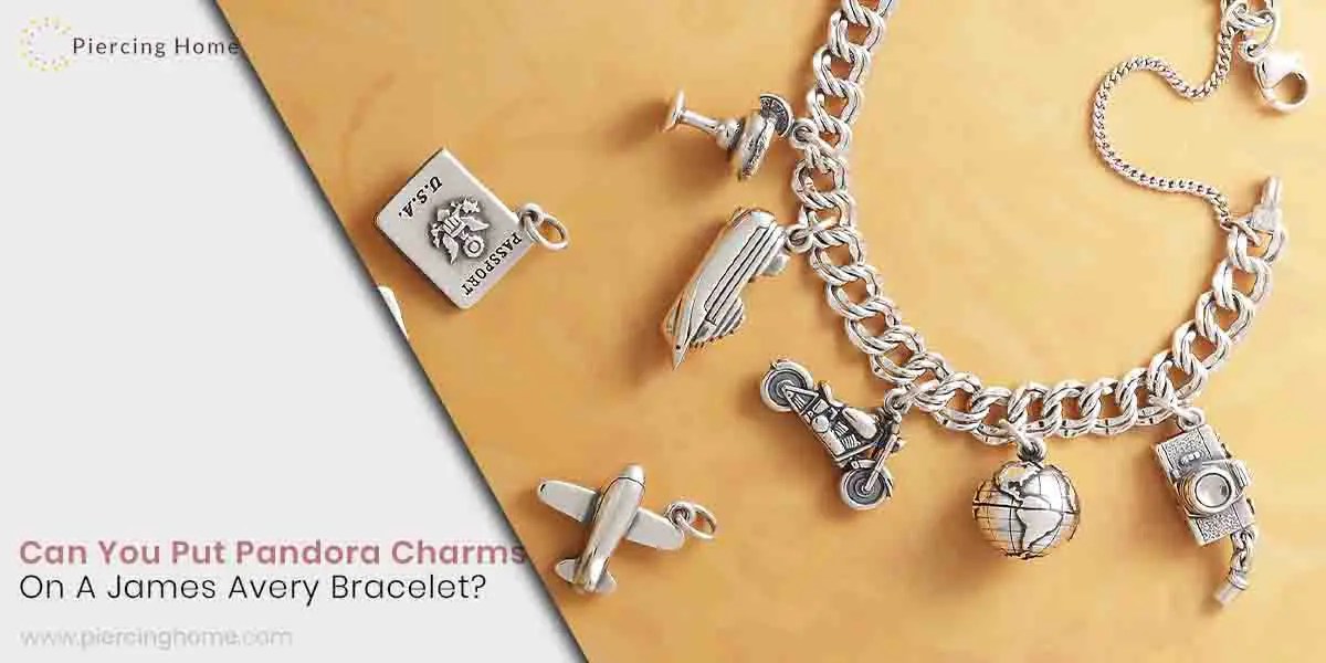 Can You Put Pandora Charms On Yourself at Terri Prunty blog