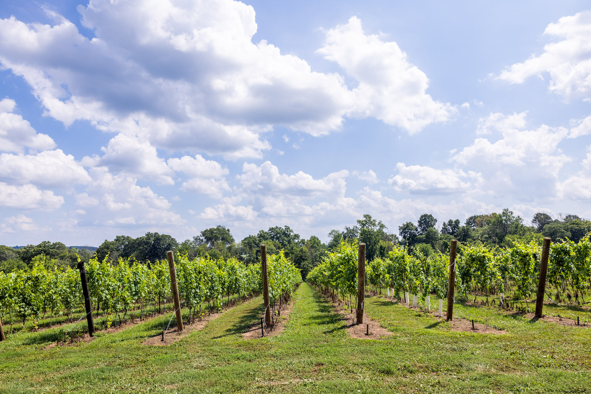 Locally Sourced, Sustainable Farm Products in Coopersburg, Pennsylvania