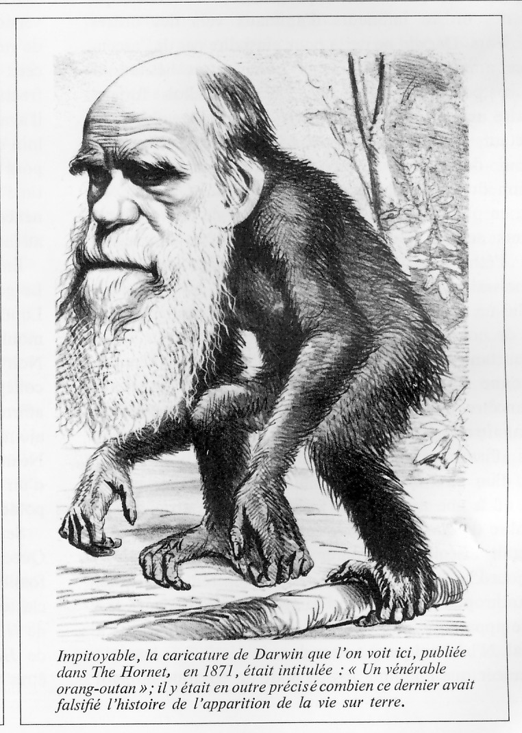 Brève histoire de l’éthologie et de ses implications