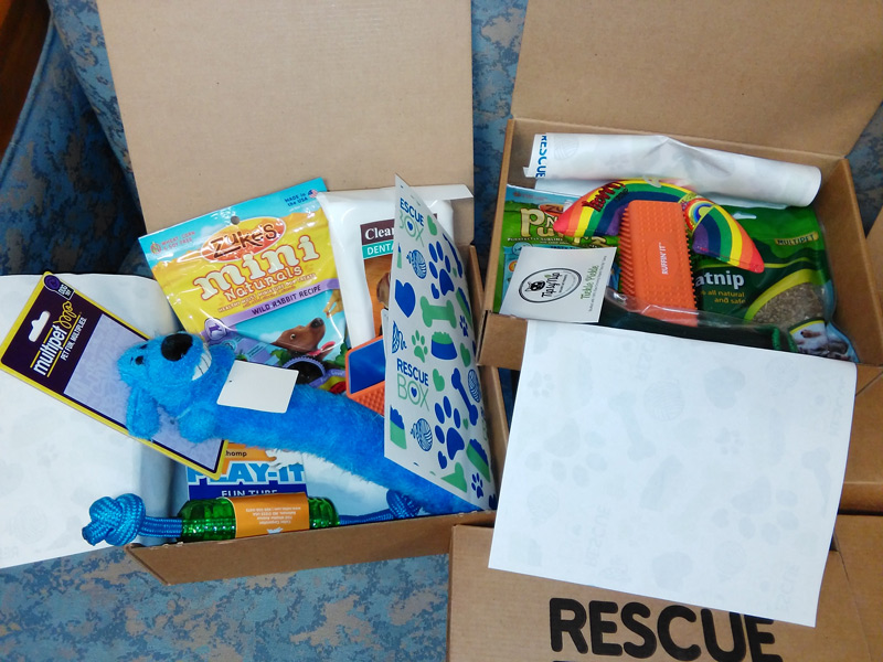 Paws Wins Prize in 2016 Shelter Challenge Paws Animal Rescue, Pierre SD