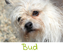 Weekly Update 103 Paws Animal Rescue, Pierre SD