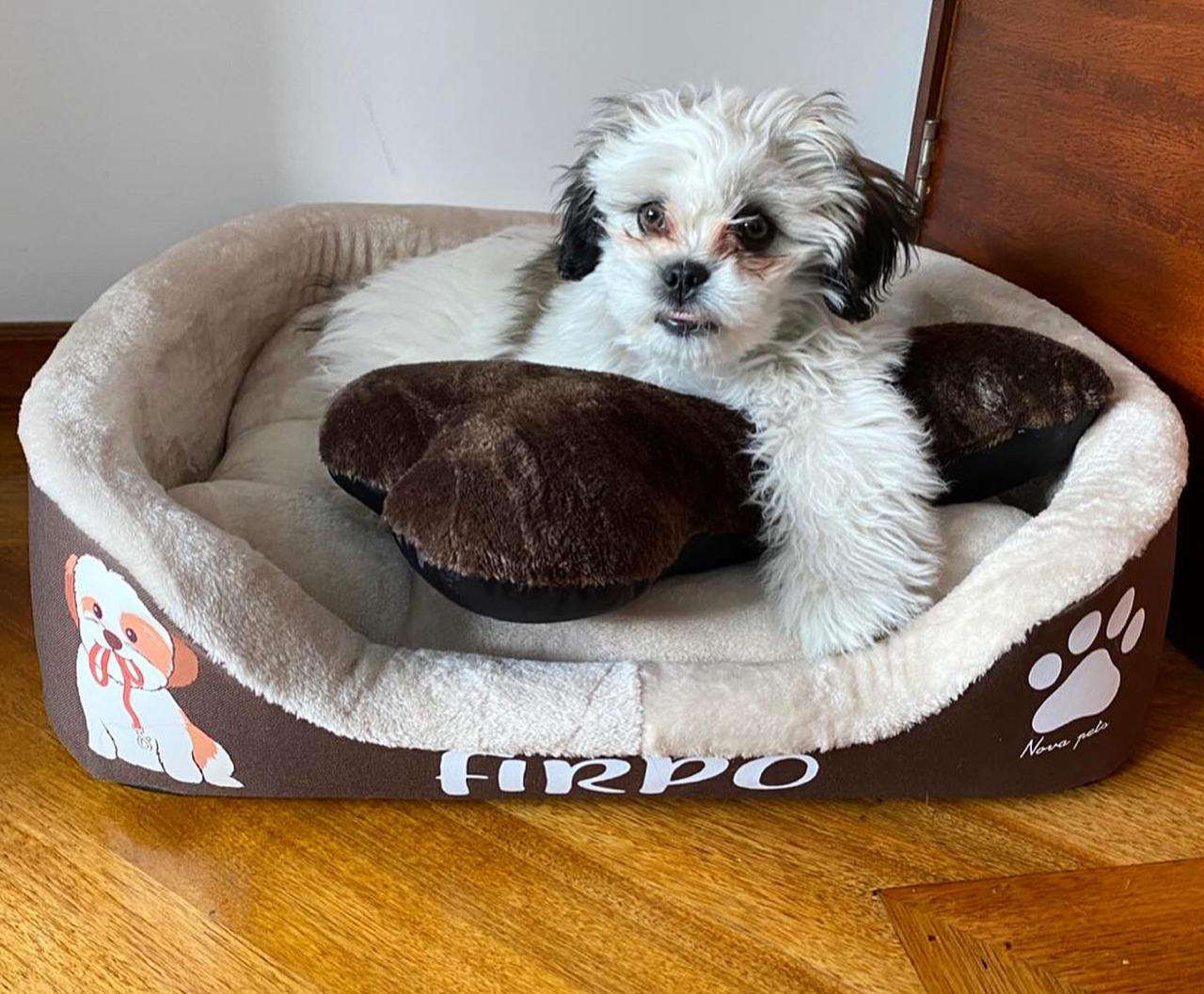 CAMA RECTANGULAR PARA PERRO MINI o PEQUEÑO Pierrunos Comida para
