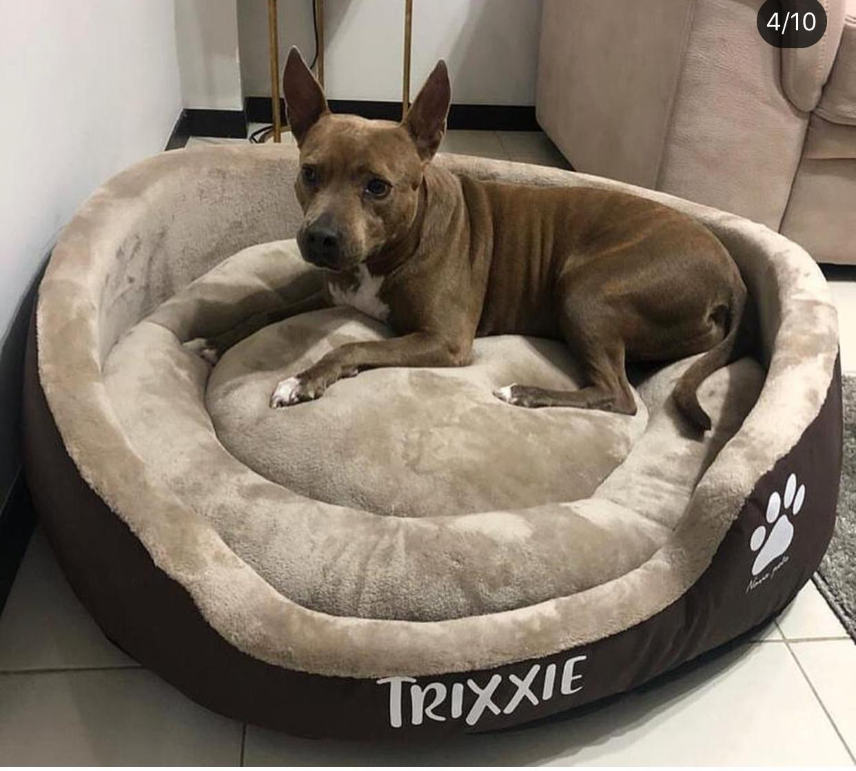 CAMA L PARA PERRO GRANDE Pierrunos Comida para Perros y Gatos