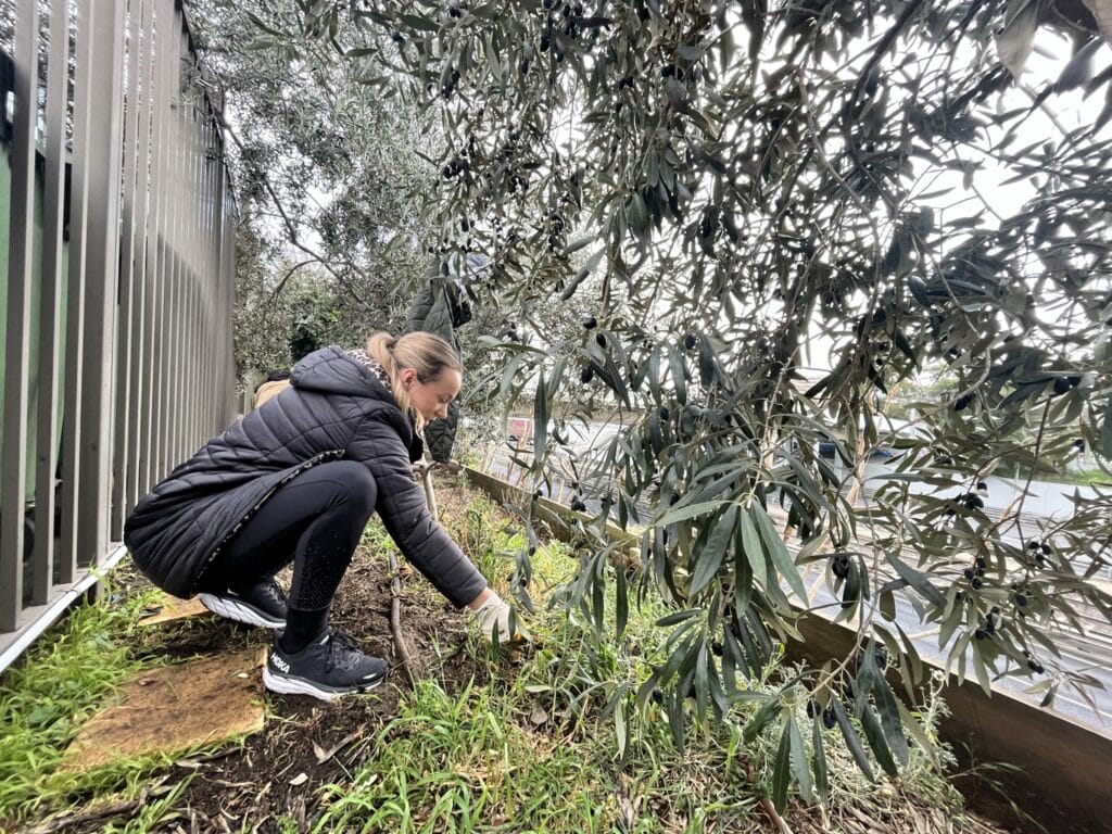 Pitching in for Upton Rd Youth Refuge Property Industry Foundation