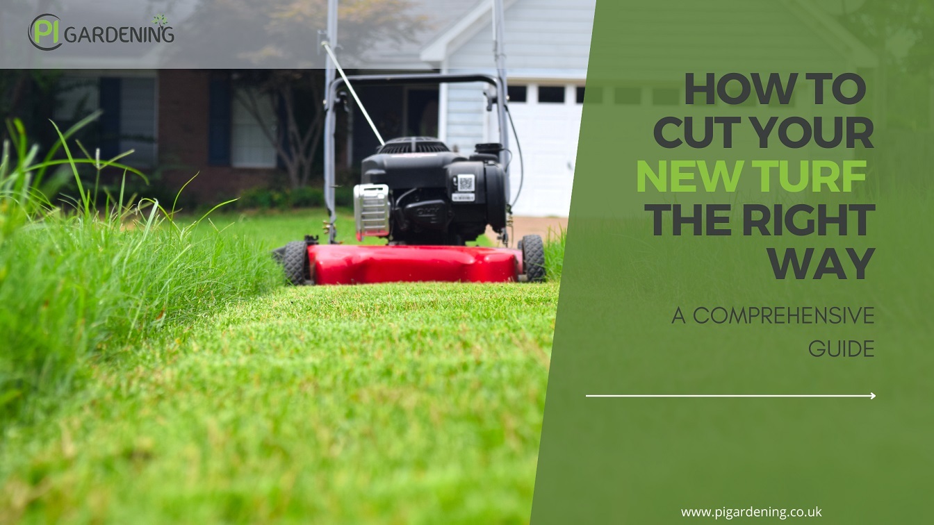 How To Cut Your New Turf Guide) PI Gardening