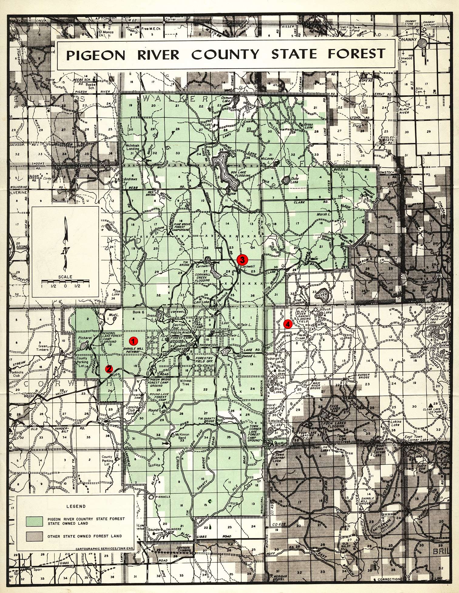 Wildlife of the Pigeon River Country