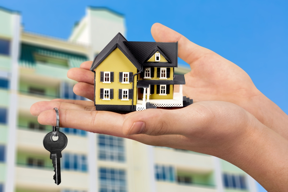 The Seller’s Guide to Sale and Negotiation Piha Real Estate Limited