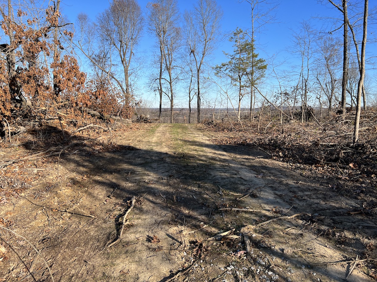 1654 Tick Ridge Rd, Tract 17, Falls of Rough, KY 40119 Pike and Tucker