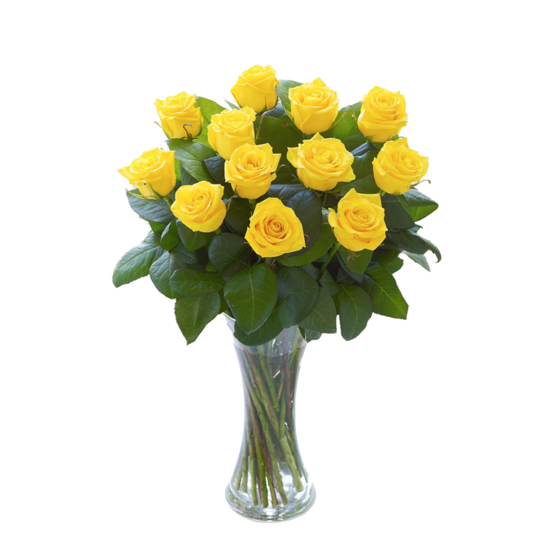 Dozen Yellow Roses — Pike Place Flowers