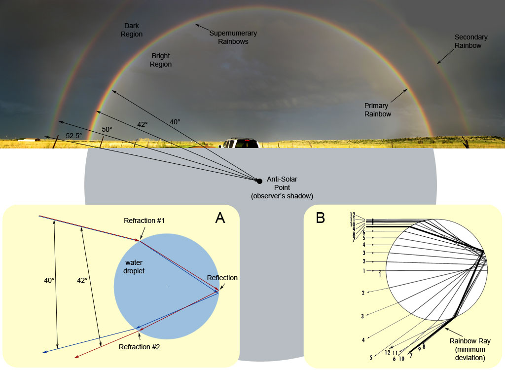 Anatomy of a Rainbow