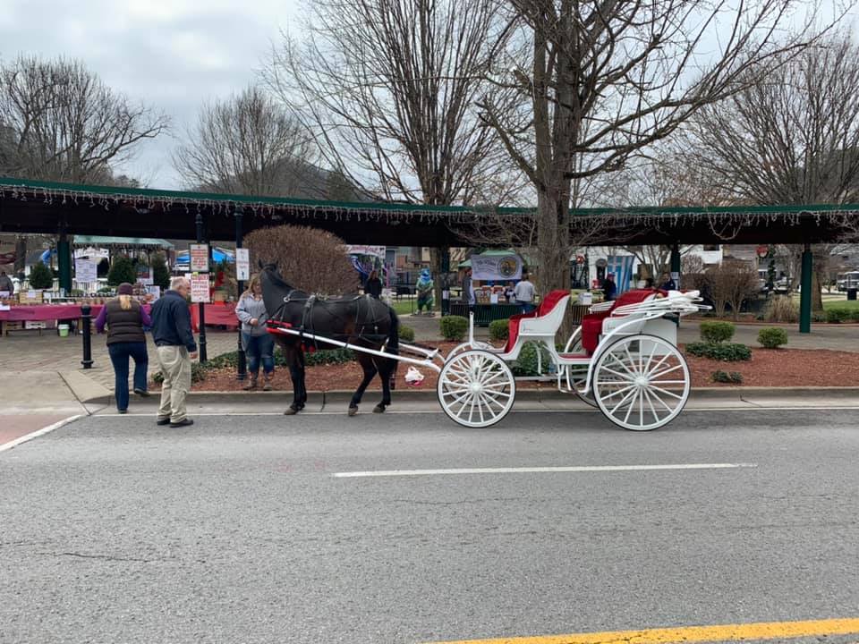 Carriage rides City of Pikeville, KY