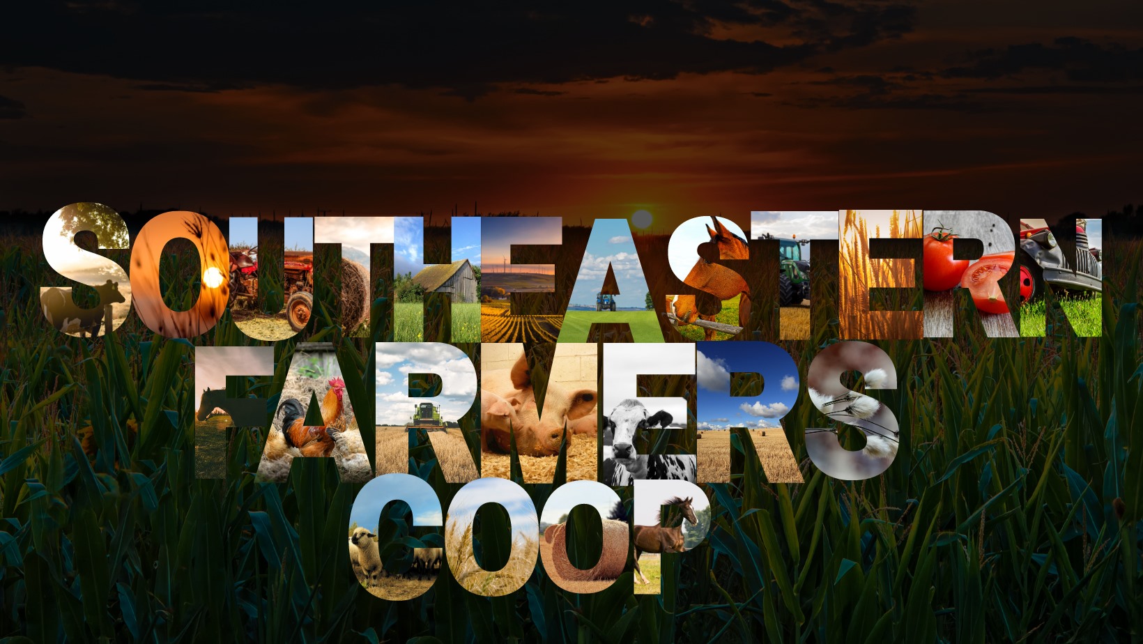 Businesses City of Pikeville, TN