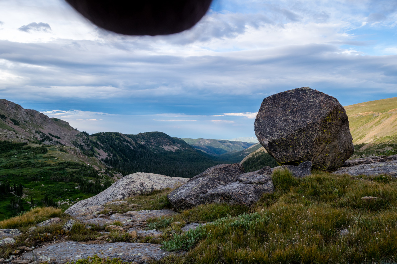 Kolejna przedziwna moda w sieci. Zdjęcia z genitaliami na tle natury