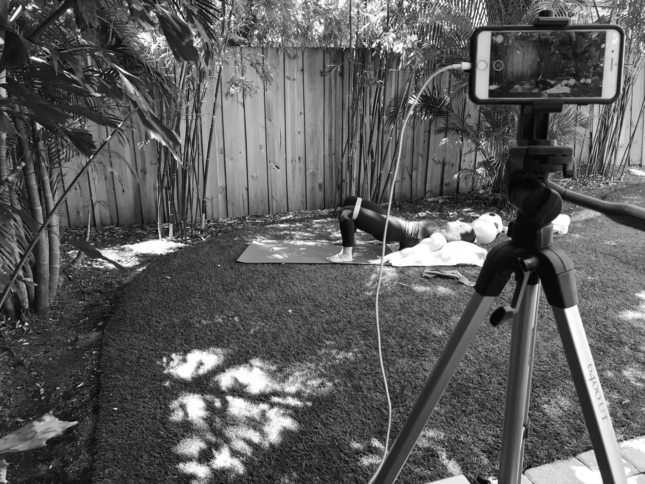 The Pilates Krewe Group Pilates Classes in Tampa, FL The Pilates Krewe