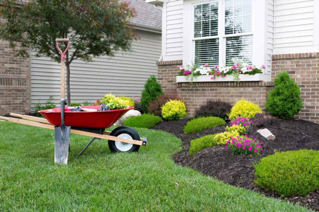 Landscaping on a Budget 5 Easy MoneySaving Ideas