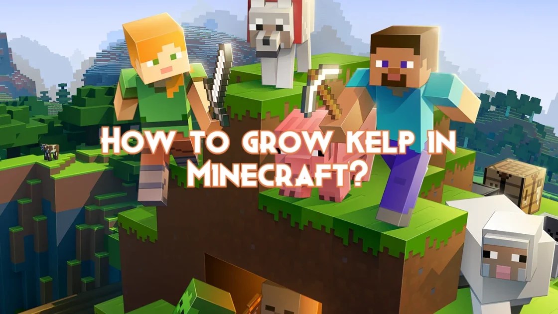 How to grow kelp in Minecraft? Pillar Of Gaming