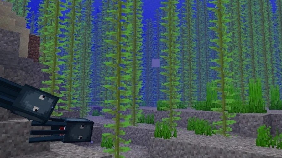 How to grow kelp in Minecraft? Pillar Of Gaming