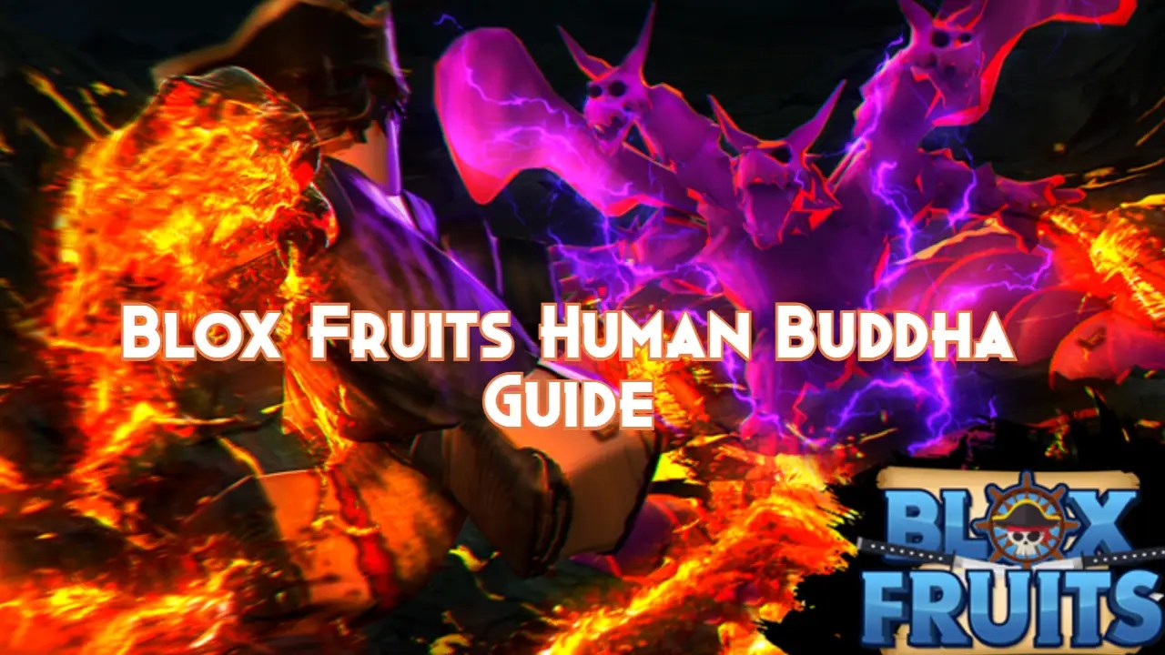 Blox Fruits Human Buddha Guide, Tier and Combos Pillar Of Gaming