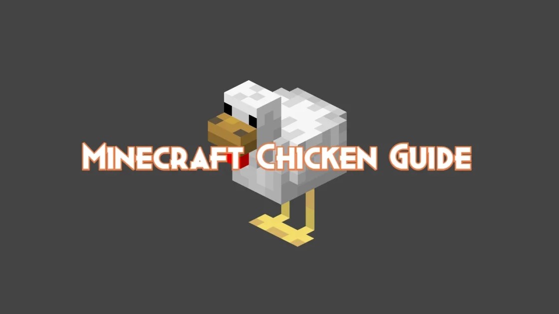 Minecraft Chicken Guide Drops, Behavior and Attacks Pillar Of Gaming