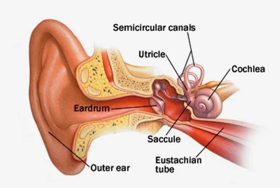 3 Ways To Fix Vertigo With Physiotherapy I Pillars of Wellness