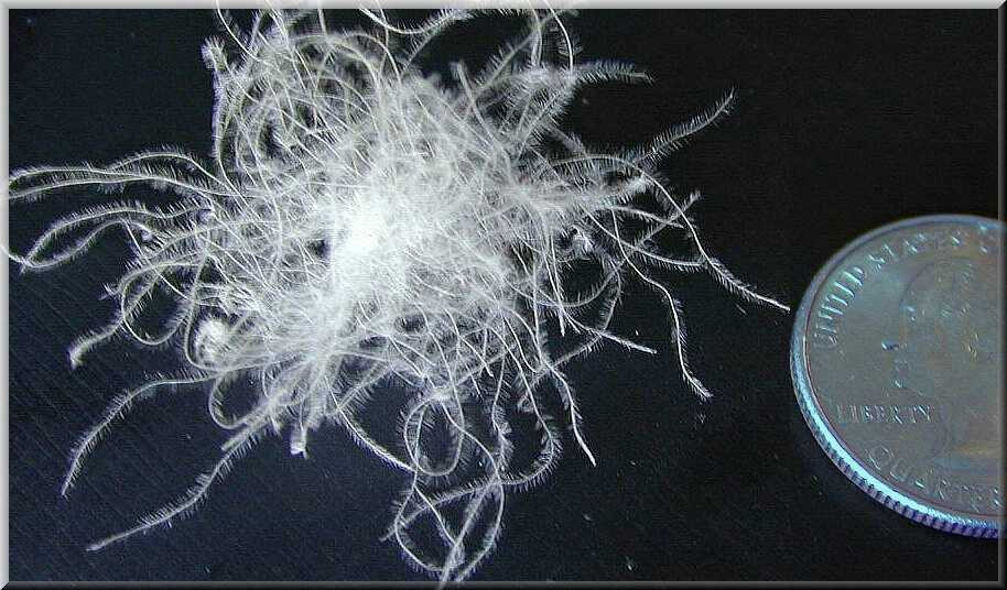 Buy Hungarian down bed pillow 700 fill online from PillowsXpress. It is