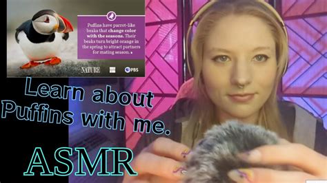 Puffin Asmr Onlyfans Leaked - Cloud Dev Hub