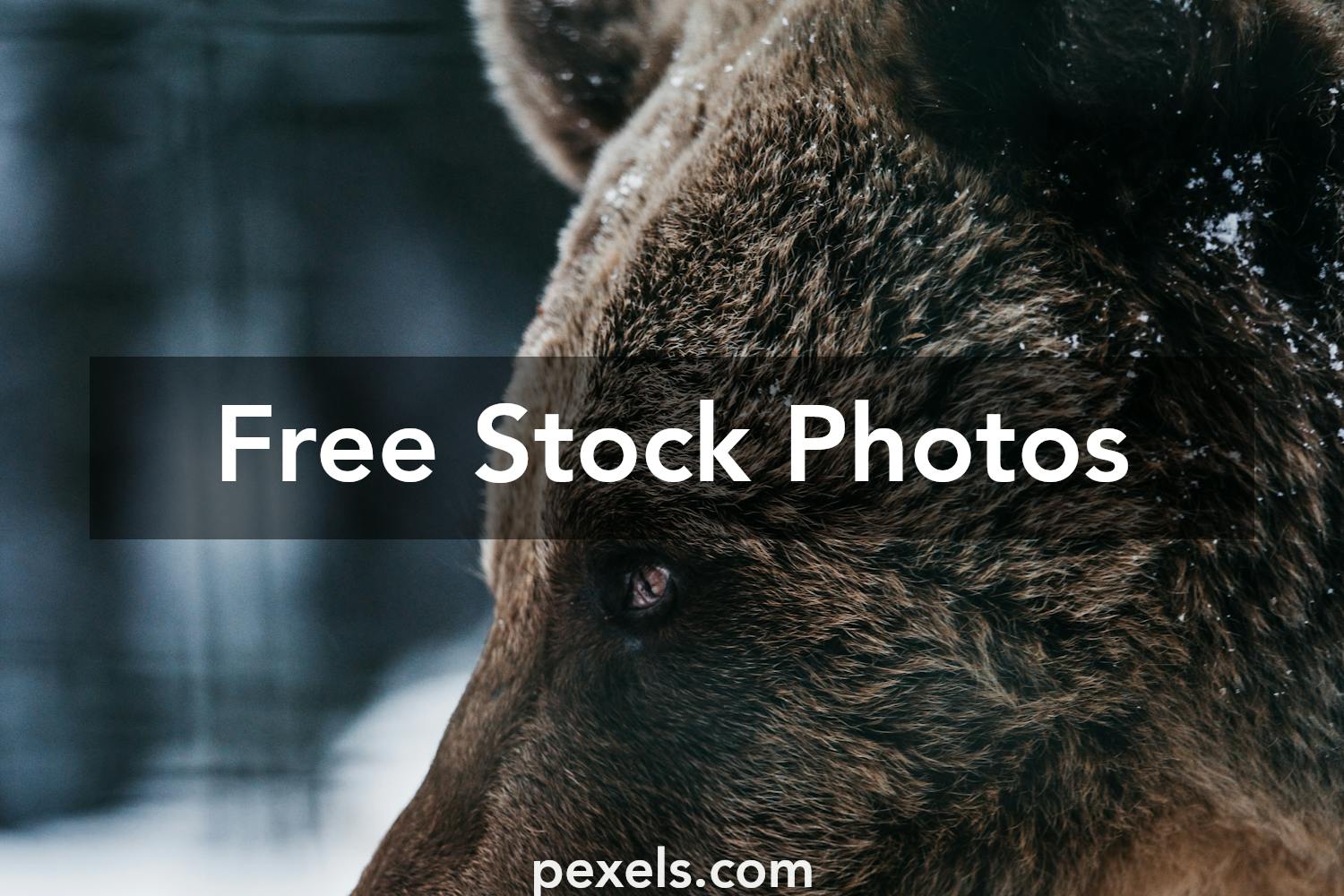 Renee Winter Onlyfans - Cloud Dev Hub