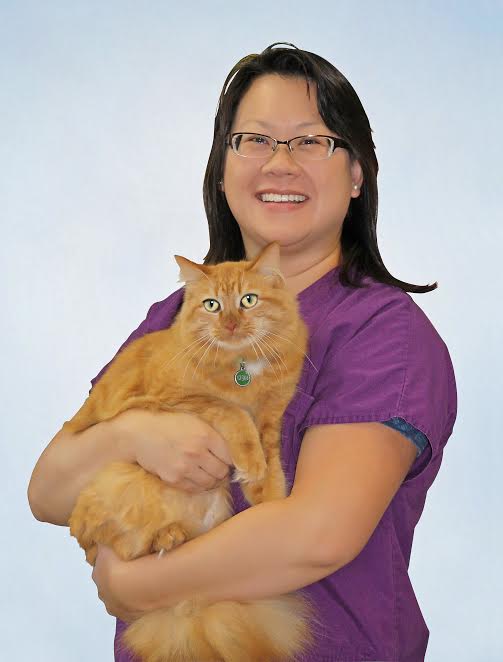 Veterinarians Pilot Knob Animal Hospital