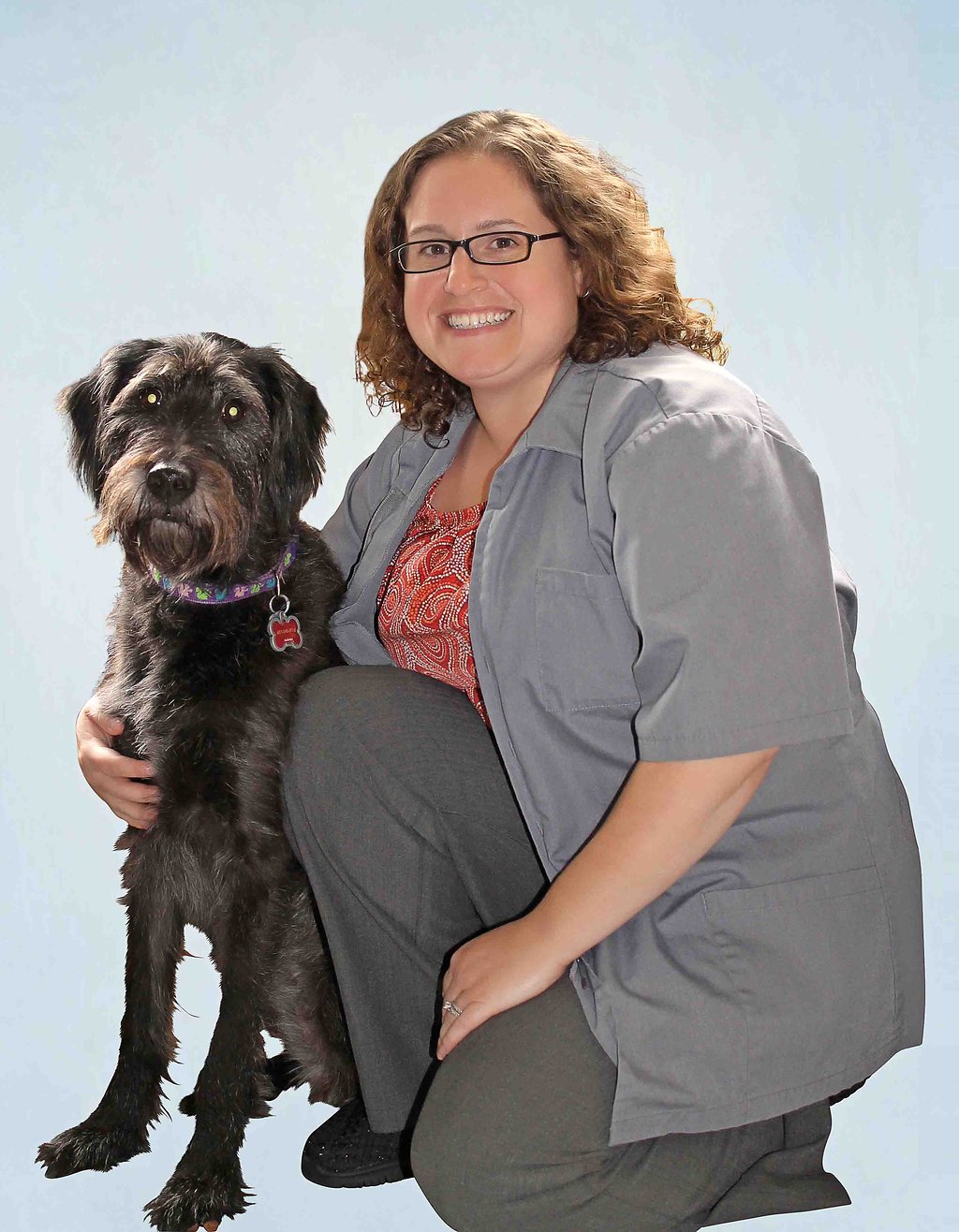 Veterinarians Pilot Knob Animal Hospital