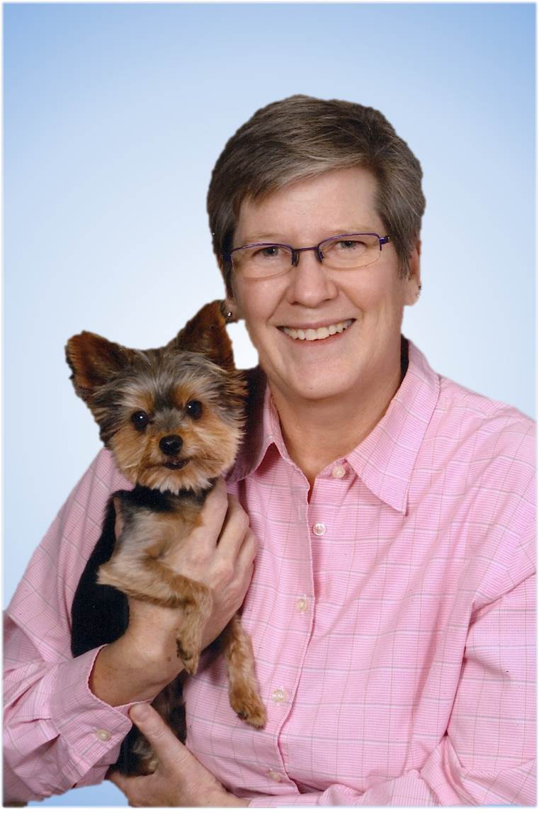 Veterinarians Pilot Knob Animal Hospital