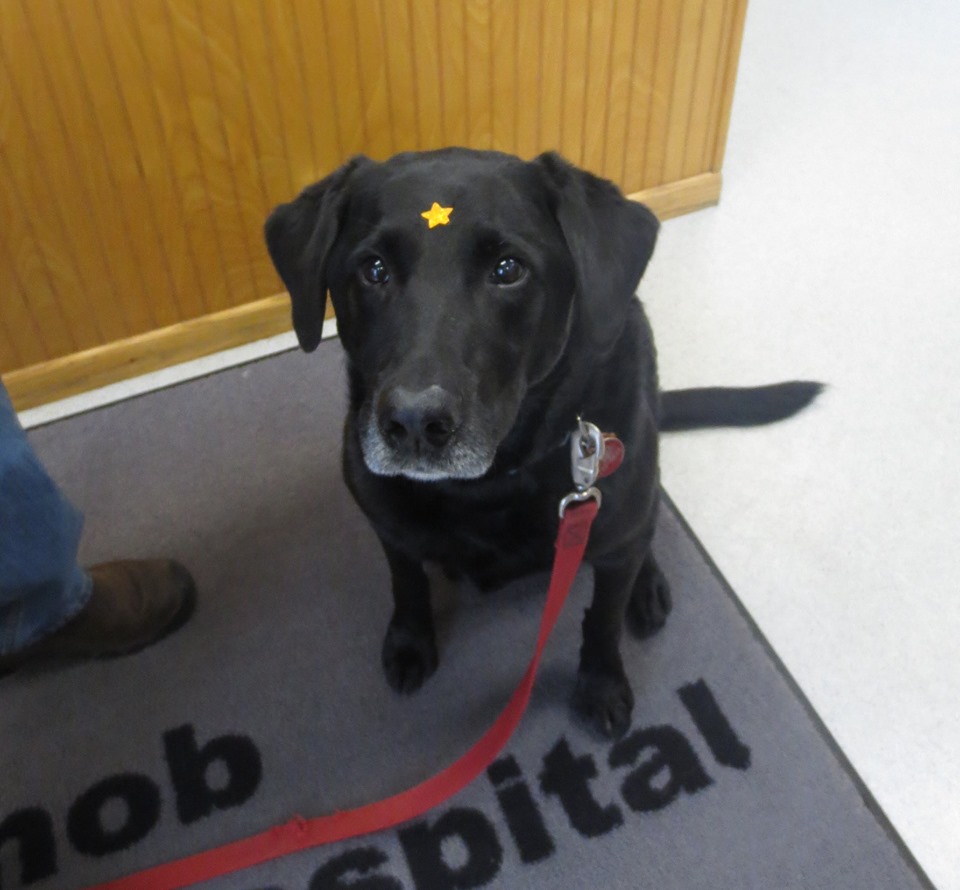 October’s Winner Jerry R! Pilot Knob Animal Hospital
