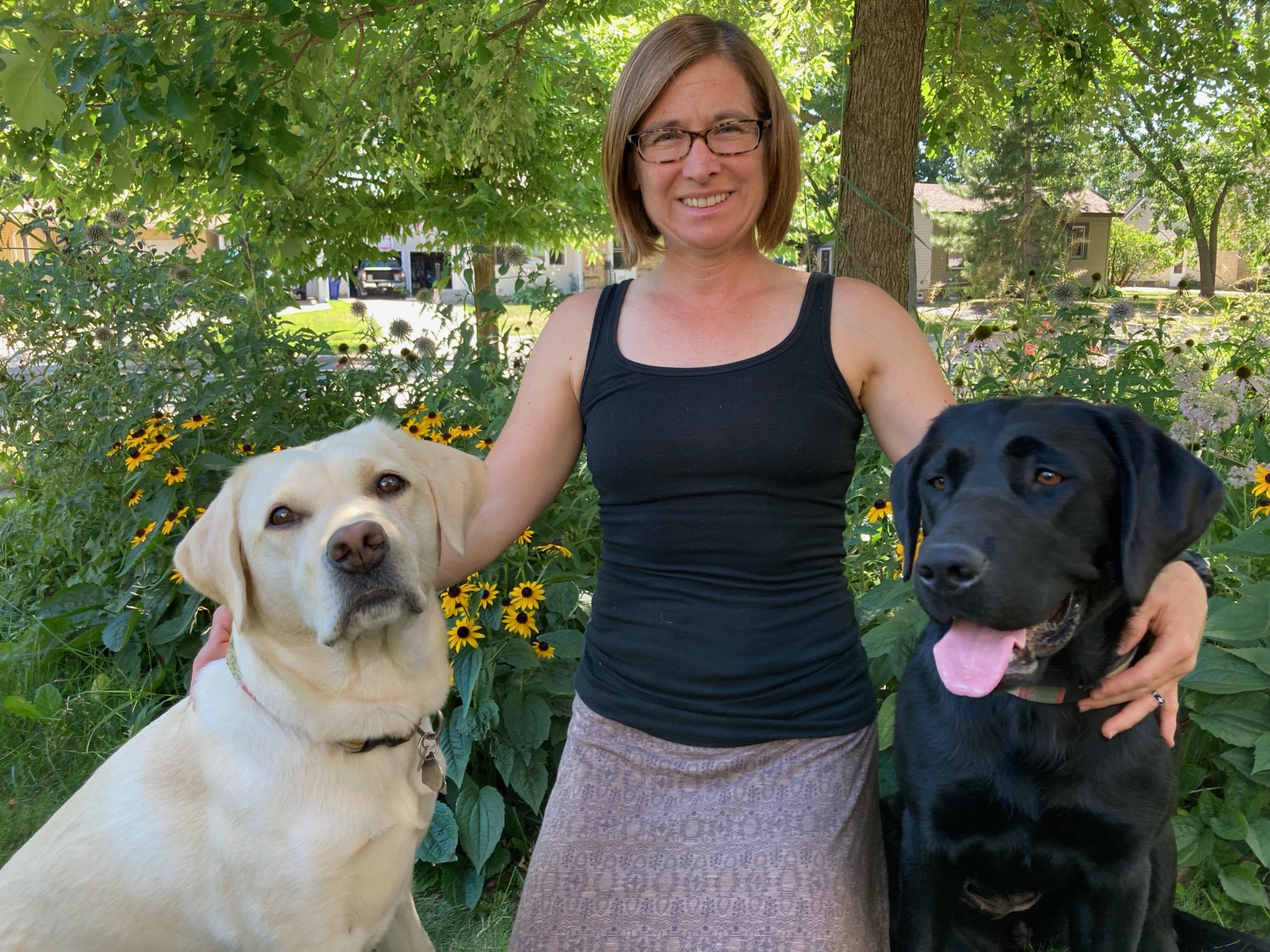 Veterinarians Pilot Knob Animal Hospital