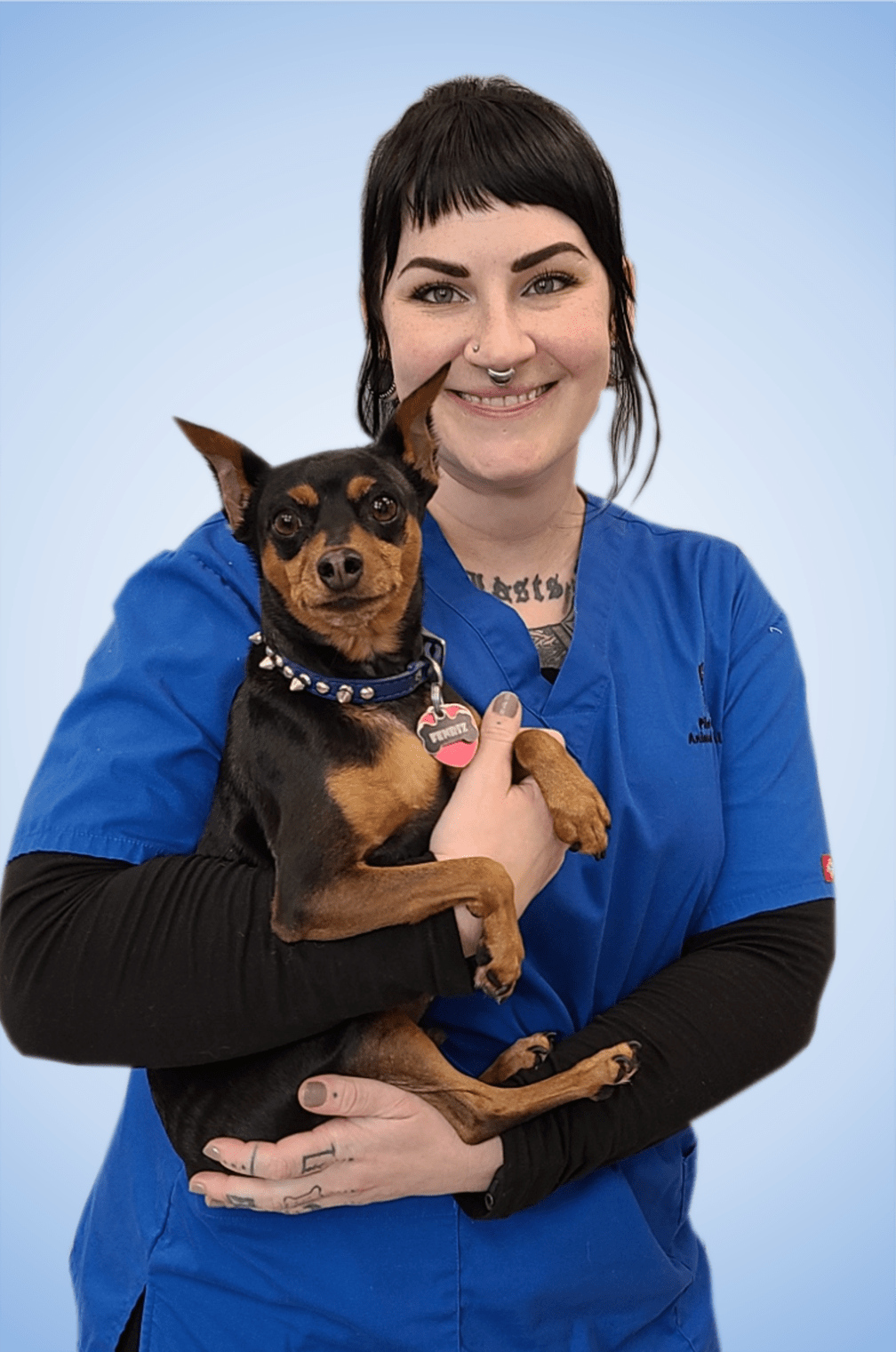 Technicians Pilot Knob Animal Hospital
