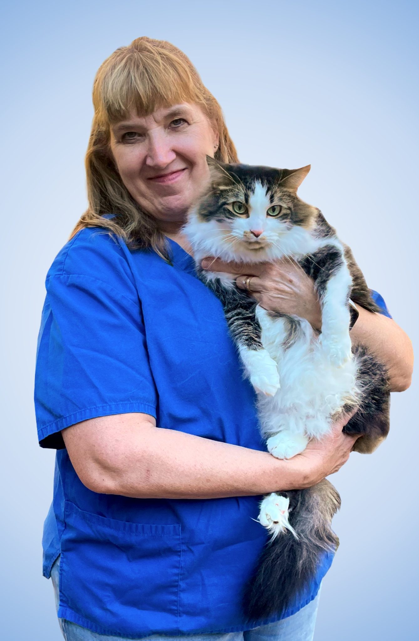 Technicians Pilot Knob Animal Hospital