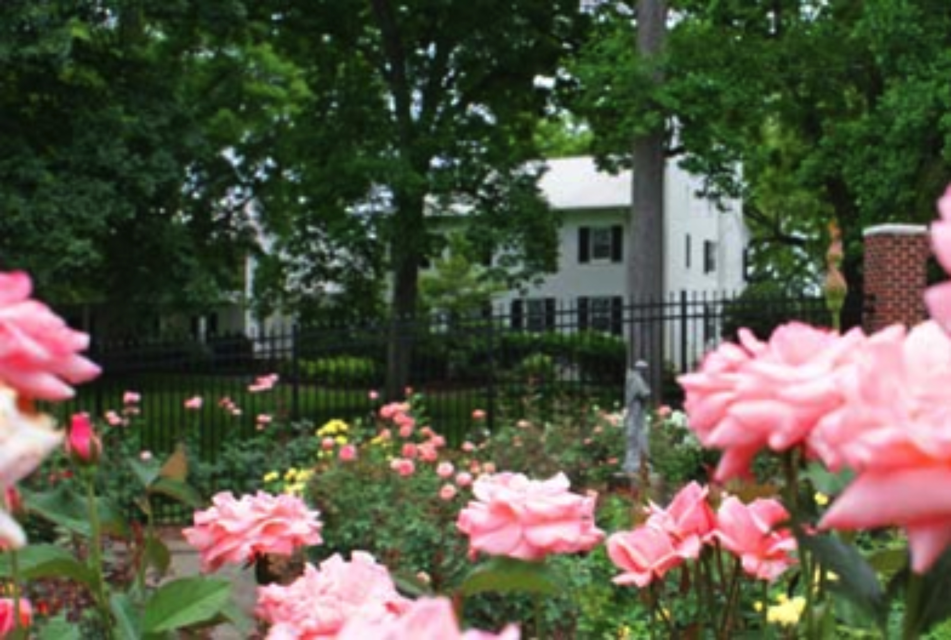 Pilot Mountain State Park Bed and Breakfasts / Country Inns