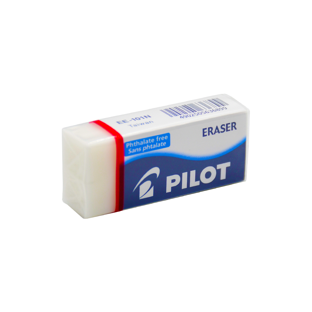 BORRADOR EE101 Pilot