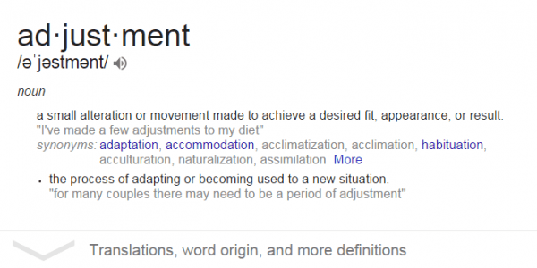 MAKE ADJUSTMENTS – What Real Entrepreneurs Must Often Do In Order To