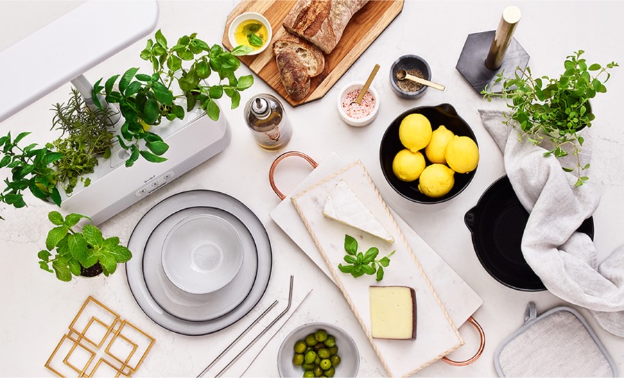 Macy's Home Collection Spring 2019 Preview