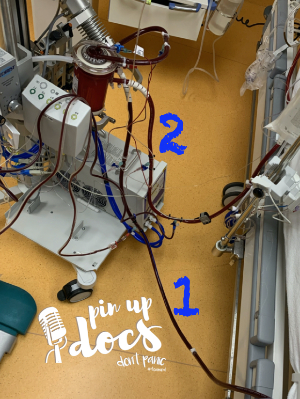 ECMO Die Lösung für unsere Probleme? pinupdocs don't panic