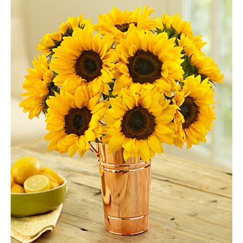 12 Stems Sunflower Bouquet