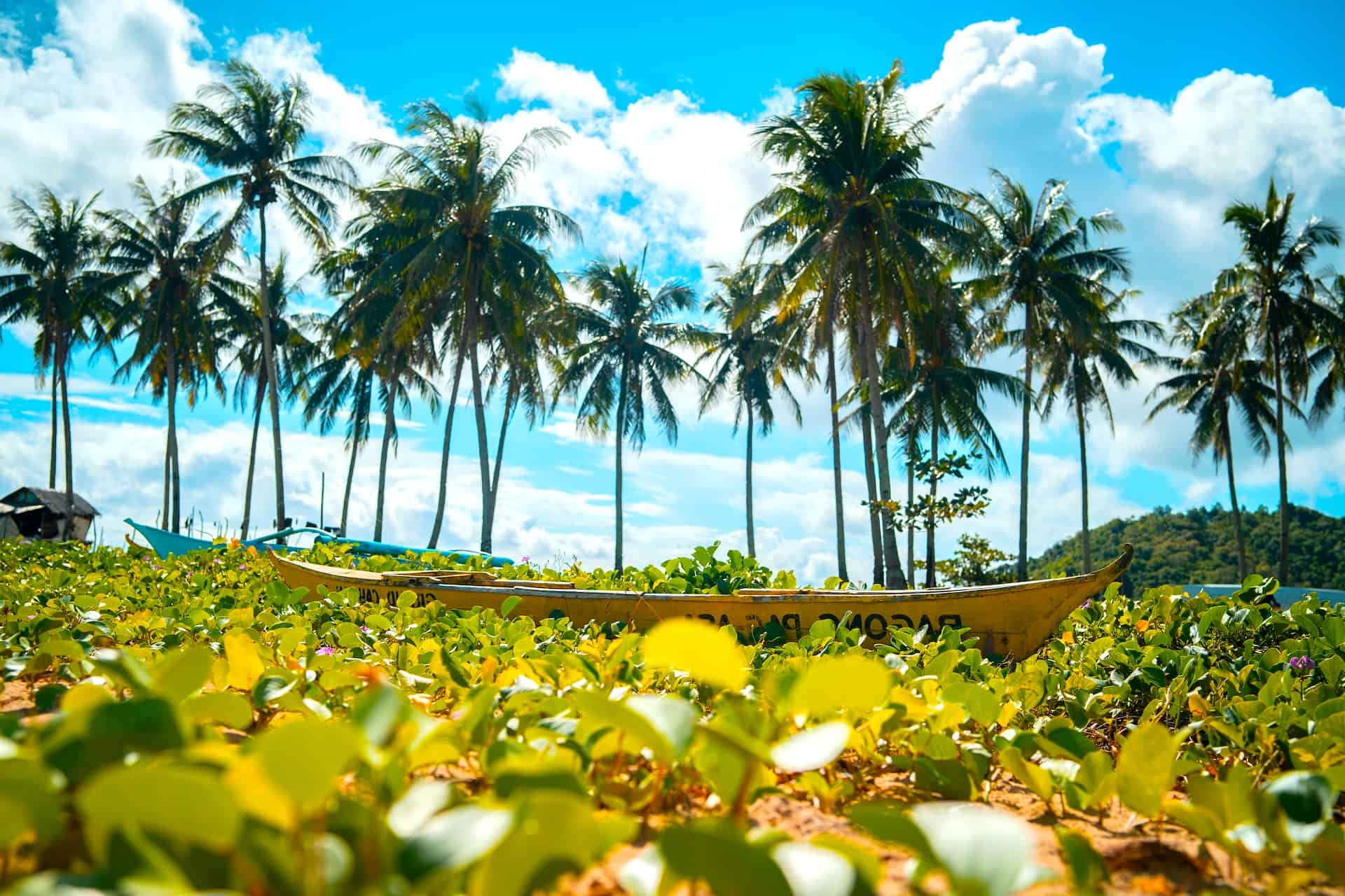 Mindoro Discover the Beautiful Mindoro Island