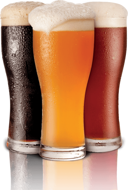 Pinocchio’s Beer Garden To Go & Bottle Shop in Media, PA