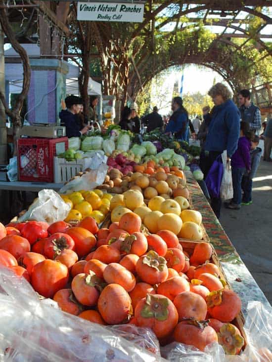 Morning at the Farmer's Market Pinch My Salt