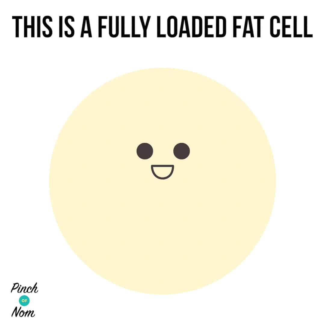 The Whoosh Effect Explained Pinch Of Nom Slimming Recipes