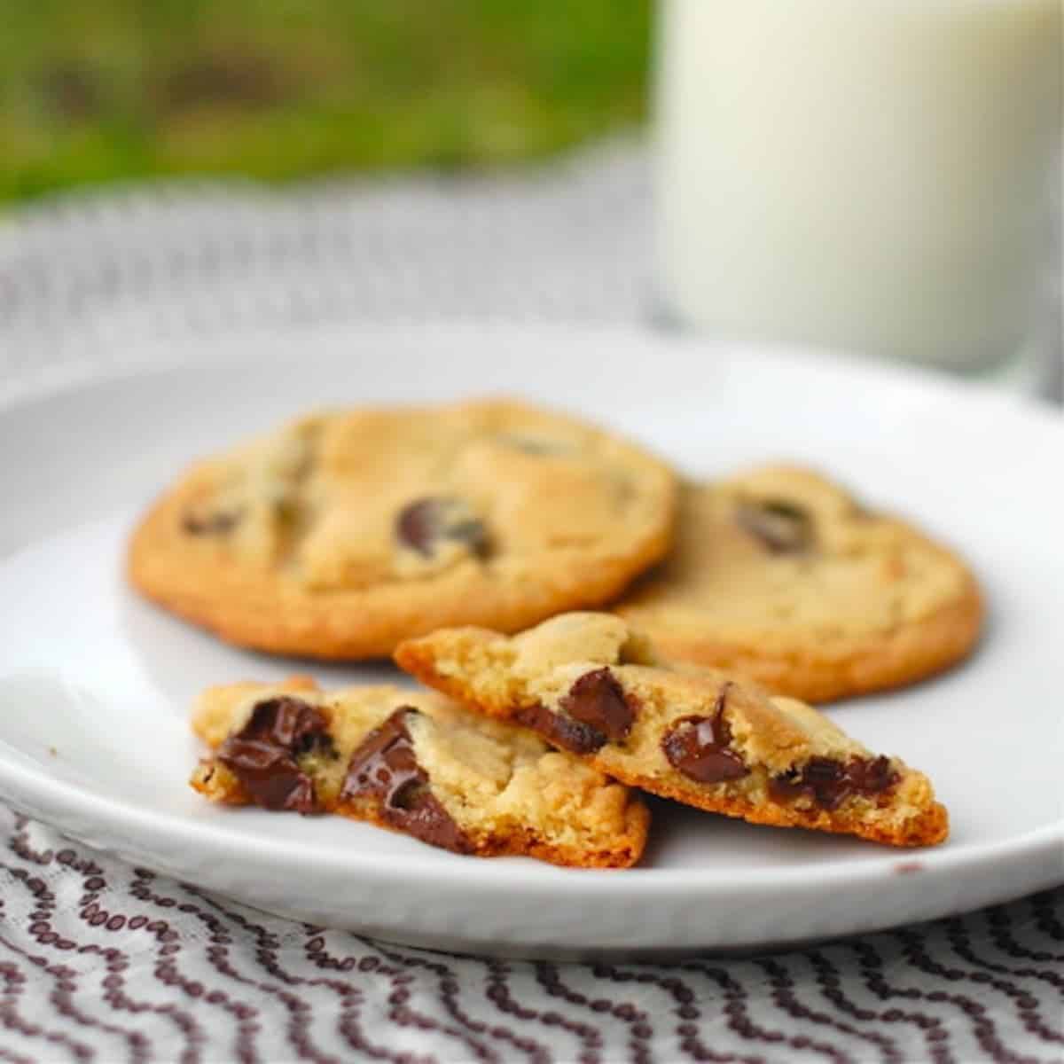 Perfect Chocolate Chip Cookie Recipe Nyt The Best Chocolate Chip