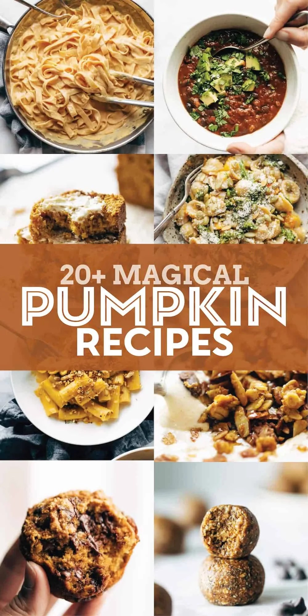 Pumpkin Recipes Pinch of Yum