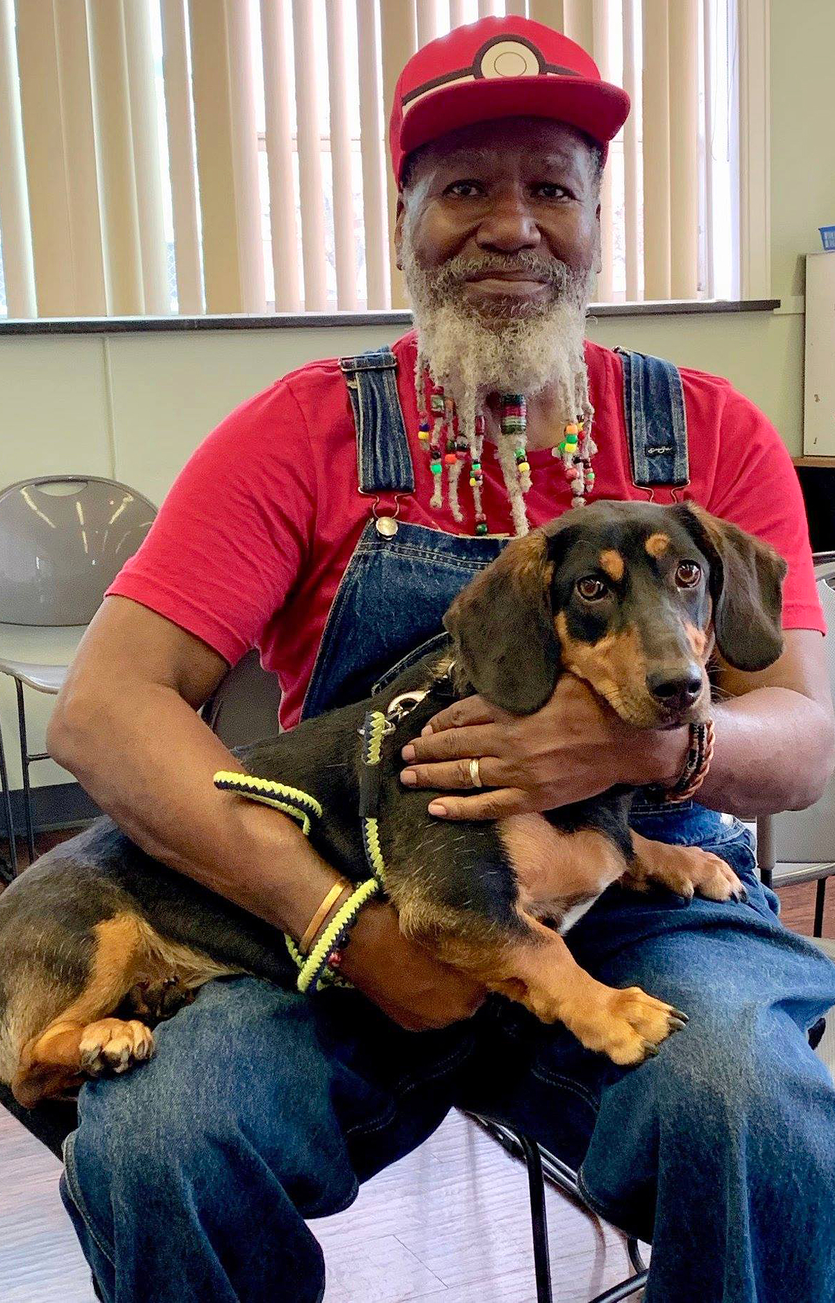 Our Services Pets in Need of Greater Cincinnati